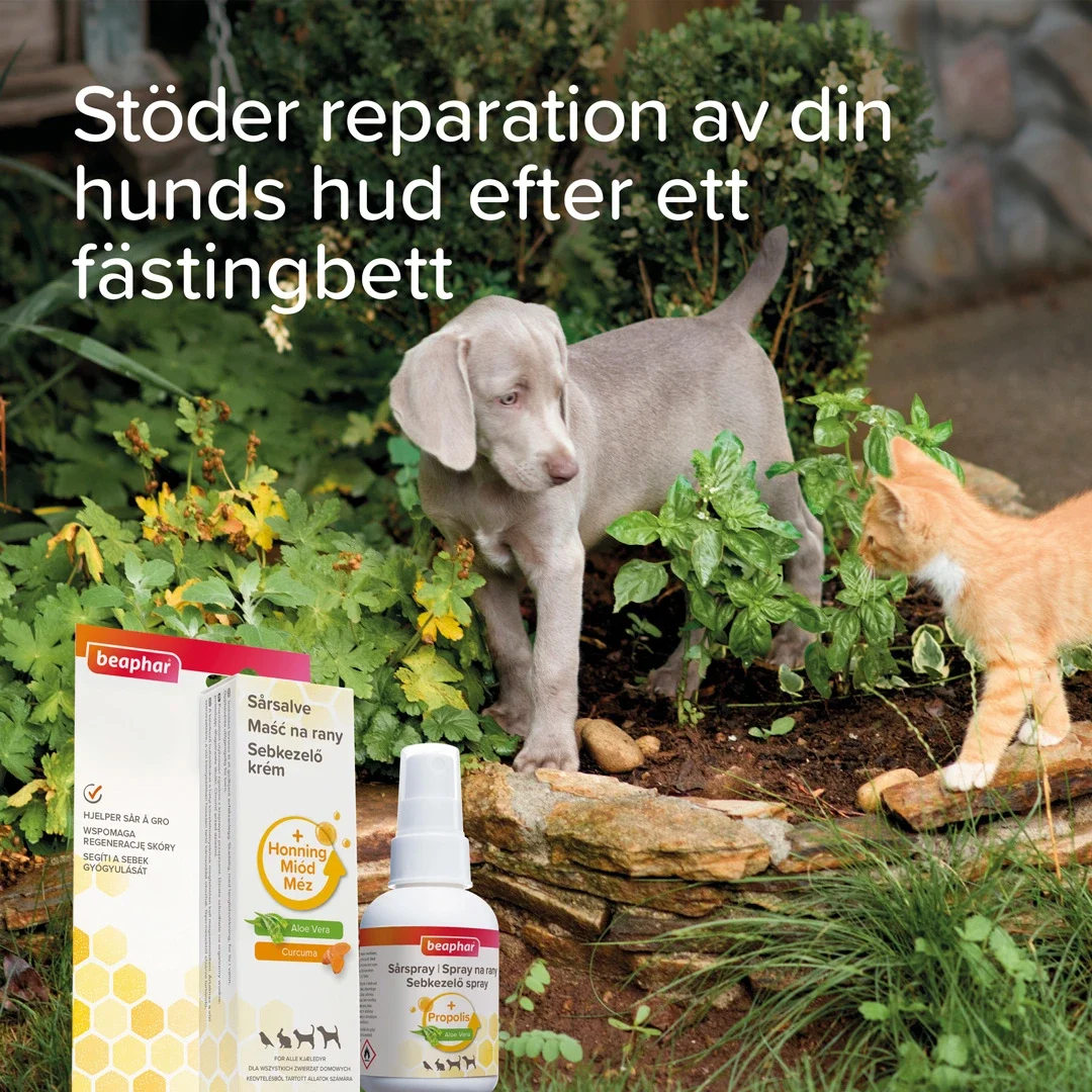 Beaphar Sårspray 75 ml Beaphar