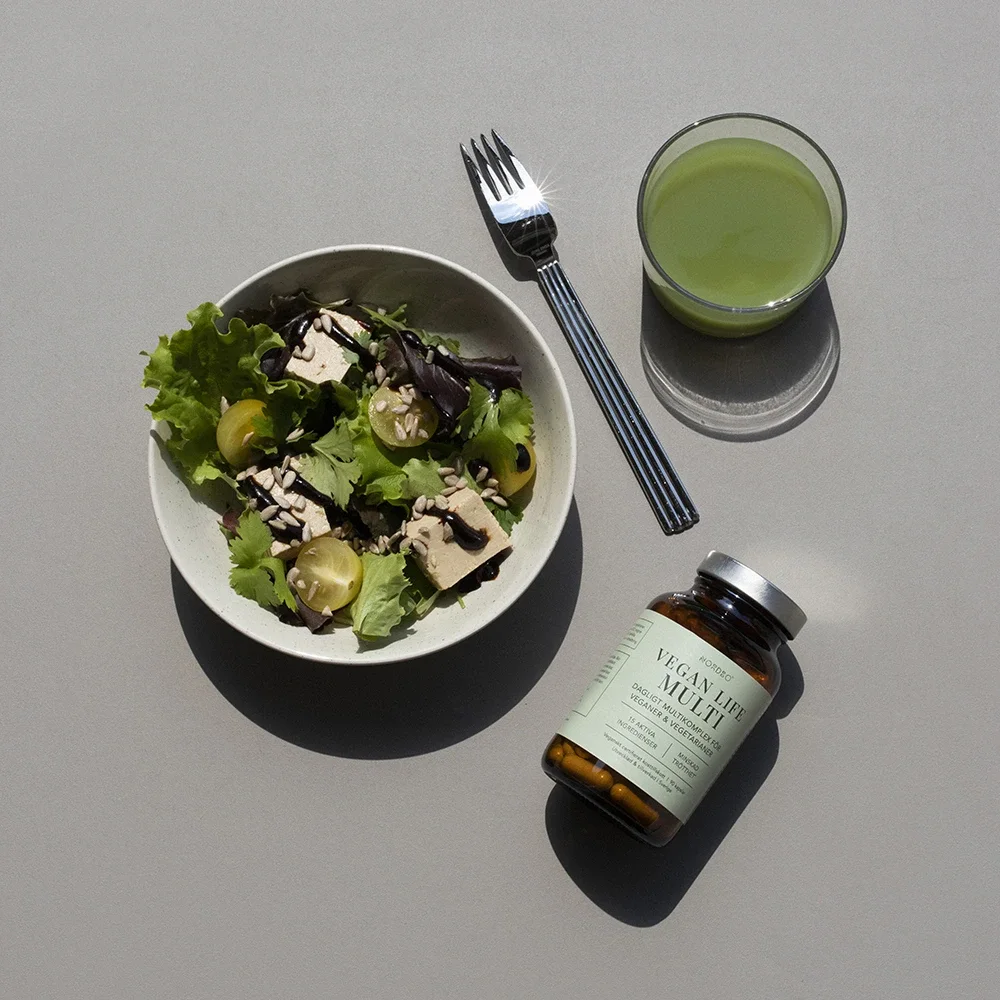 Nordbo Vegan Life Multi 90 kapslar Nordbo