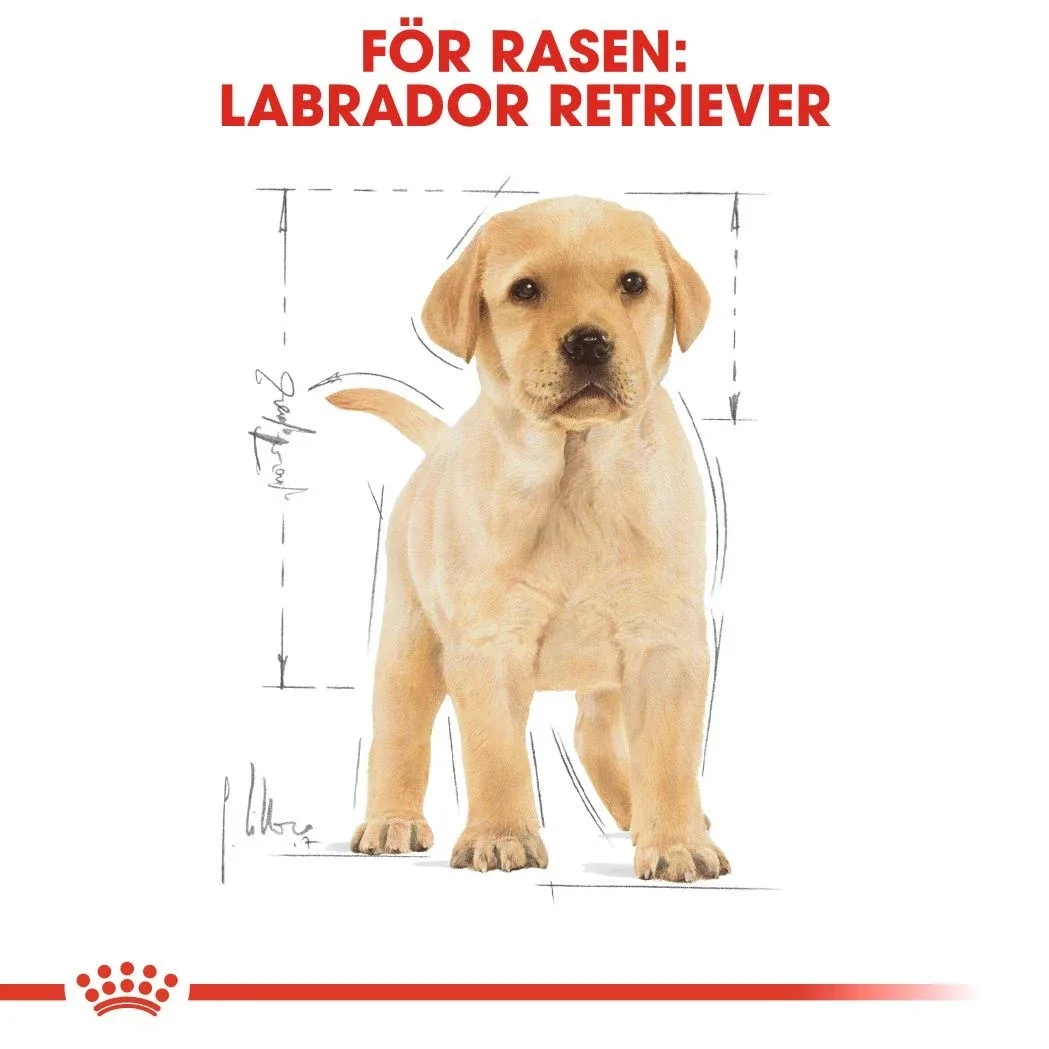 Royal Canin Labrador Retriever Puppy 12 kg Royal Canin