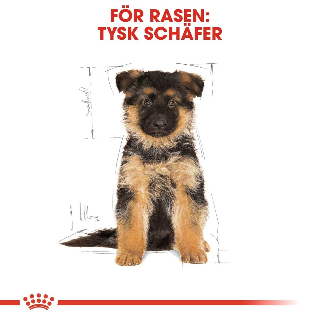 Royal Canin German Shepherd Puppy 12 kg Royal Canin