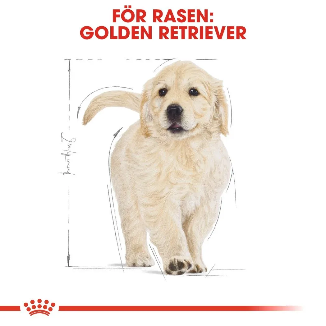 Royal Canin Golden Retriever Puppy 12 kg Royal Canin