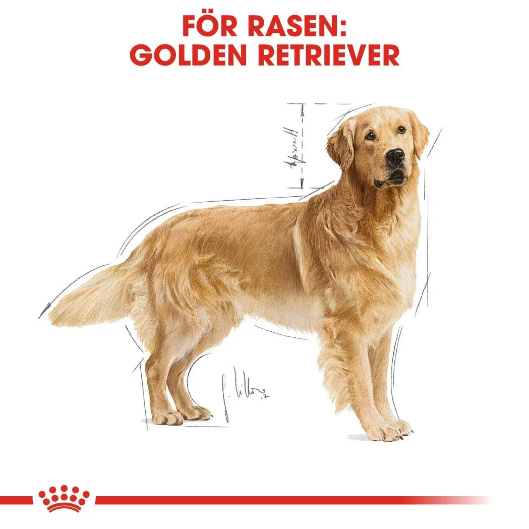 Royal Canin Golden Retriever Adult 12 kg Royal Canin