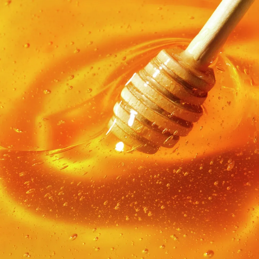 NUXE Rêve de miel Honey Lip Oil 10 ml Nuxe