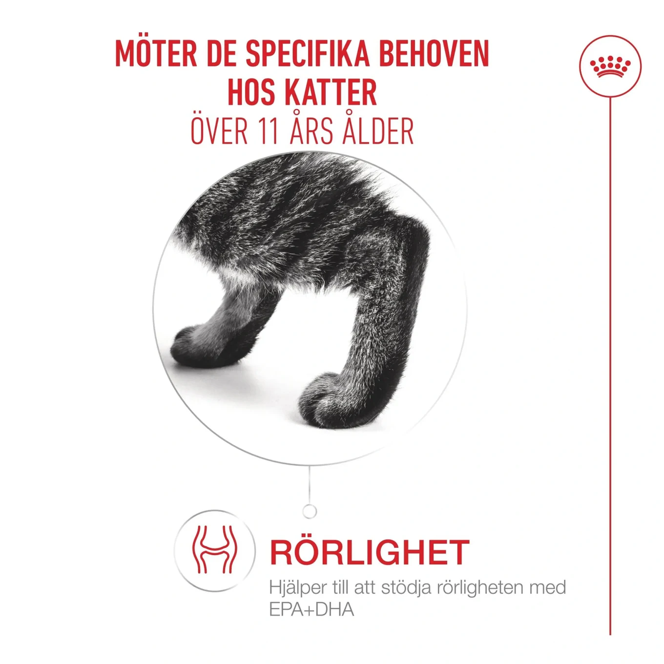 Royal Canin Ageing 11+ Gravy 12x85 g Royal Canin