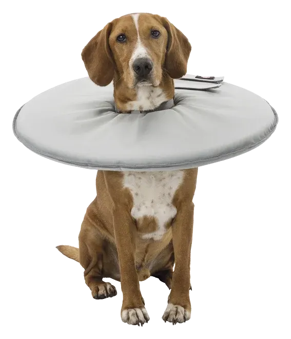 Trixie Mjuk Hundkrage Grå XS Trixie