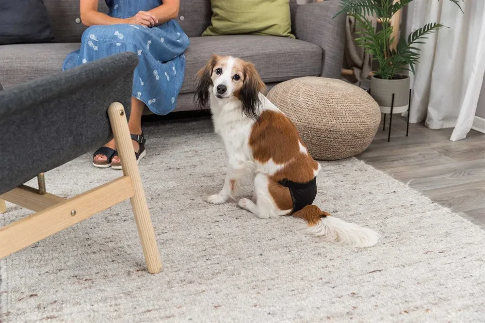 Trixie Tikskydd Svart L Trixie