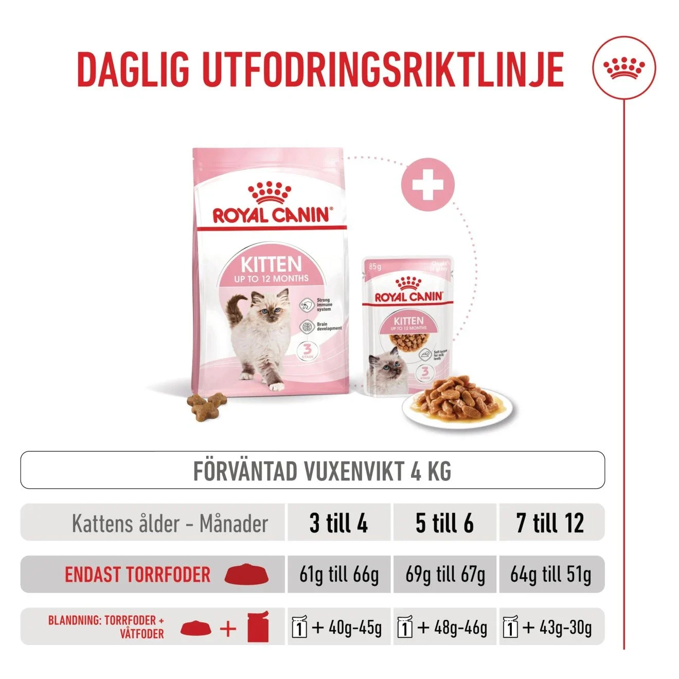 Royal Canin Kitten  4 kg Royal Canin