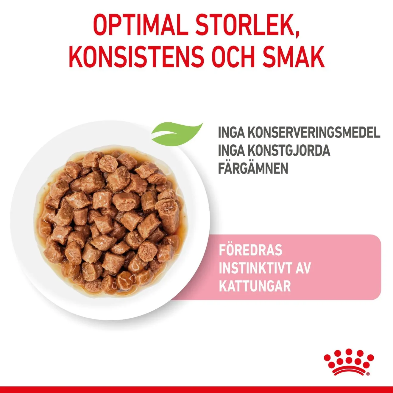 Royal Canin Kitten Sterilised Gravy 12x85 g Royal Canin