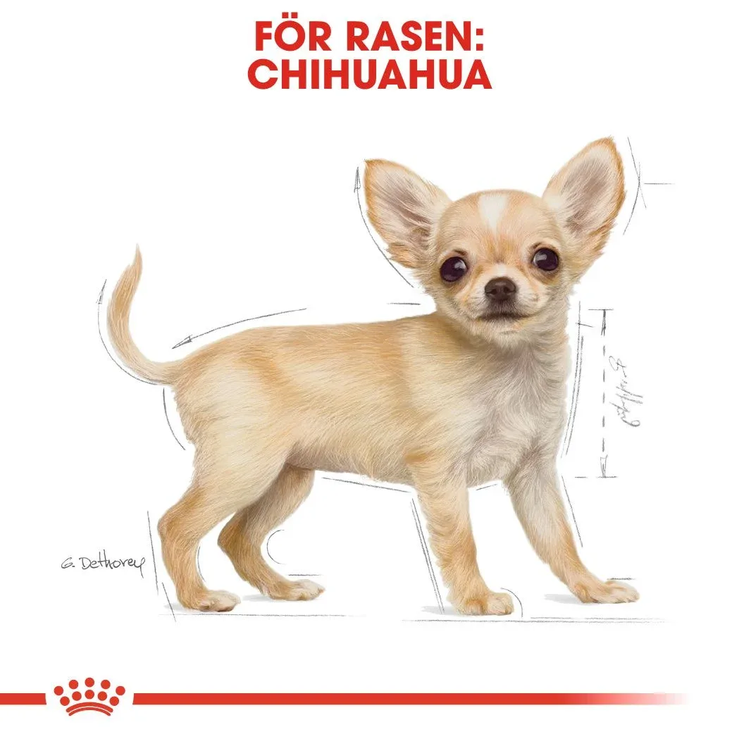 Royal Canin Chihuahua Puppy 1,5 kg Royal Canin