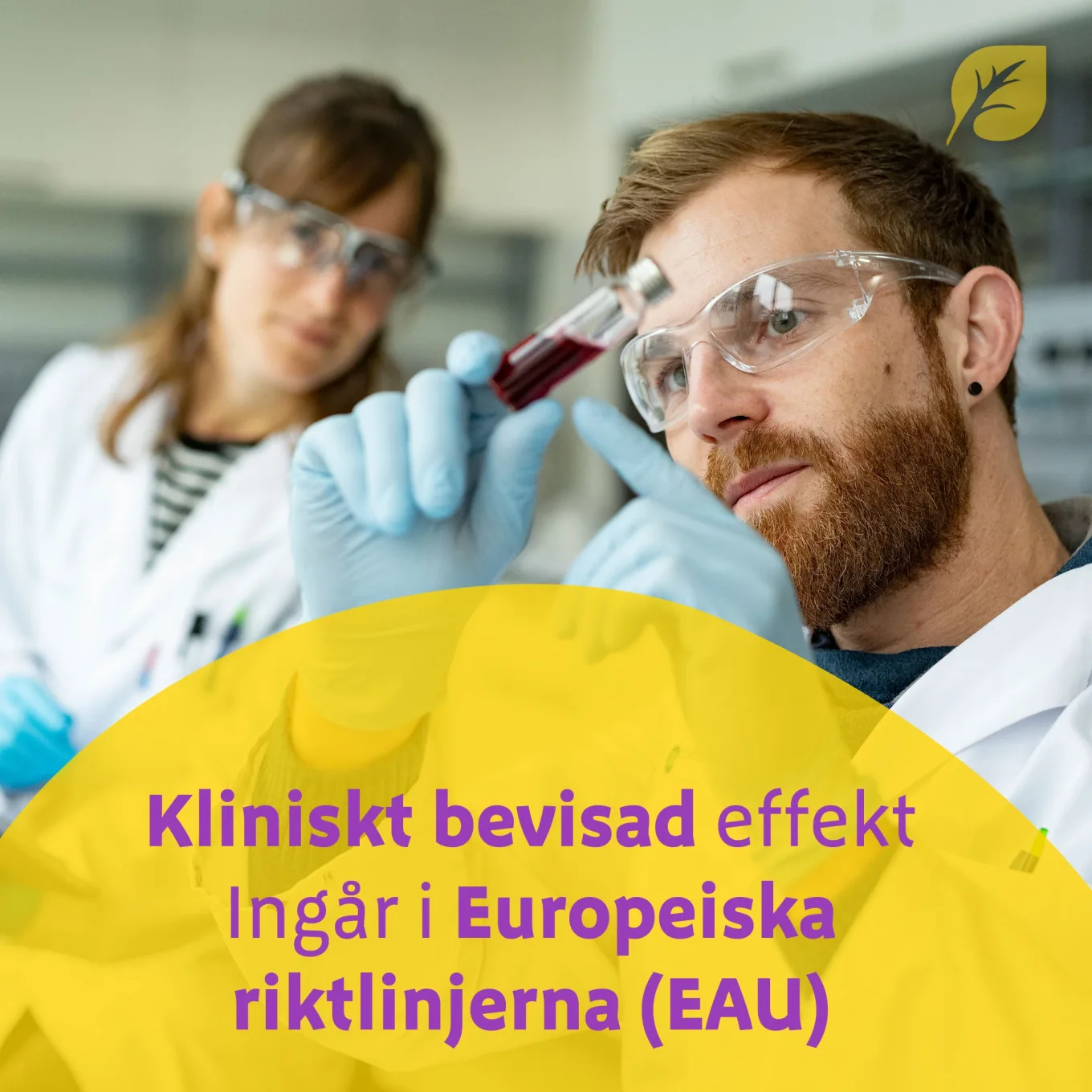 Urodynon Dragerad Tablett 30 st URODYNON, Bionorica