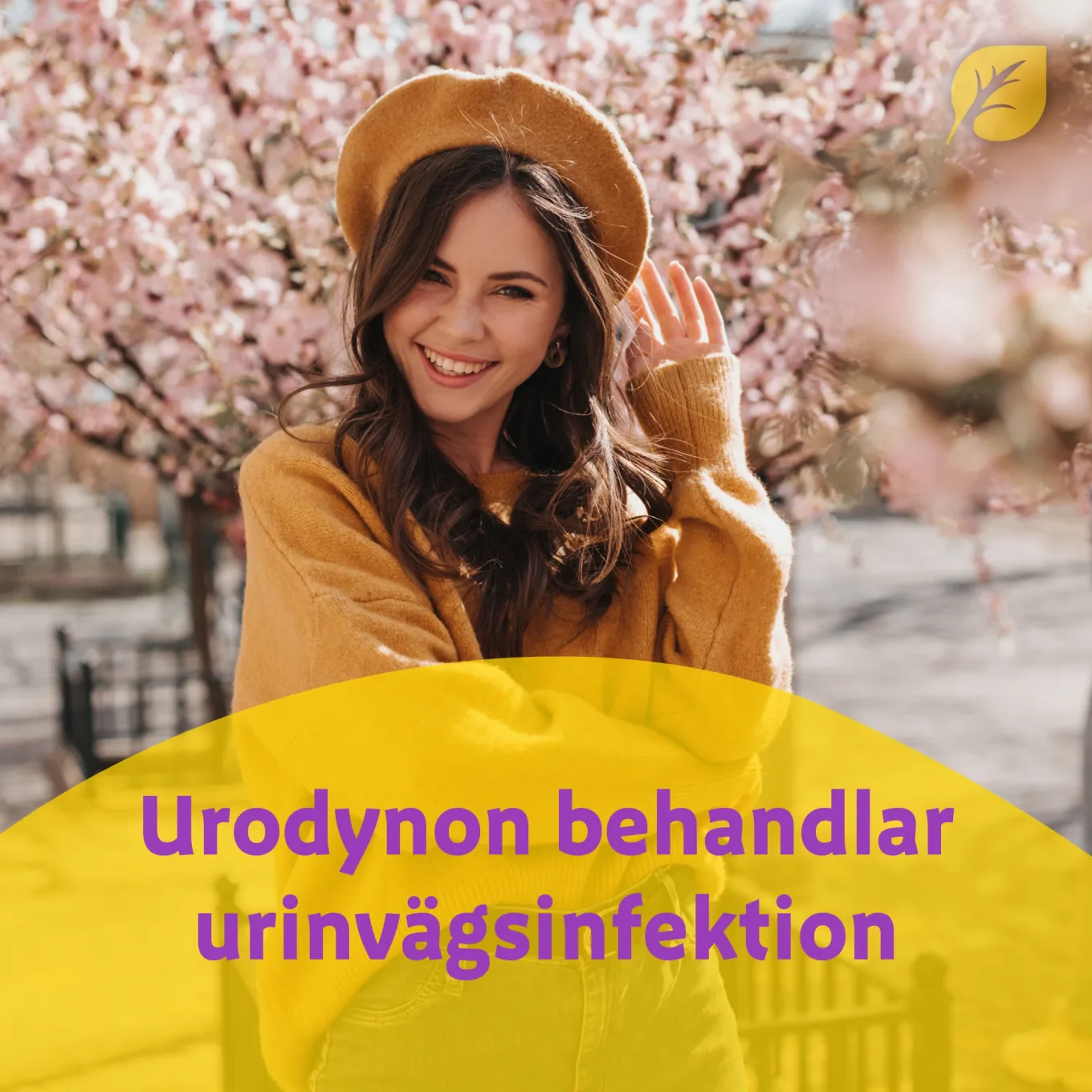 Urodynon Dragerad Tablett 30 st URODYNON, Bionorica