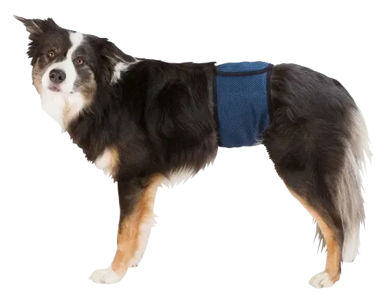 Trixie Hanhundsskydd Mörkblå L Trixie