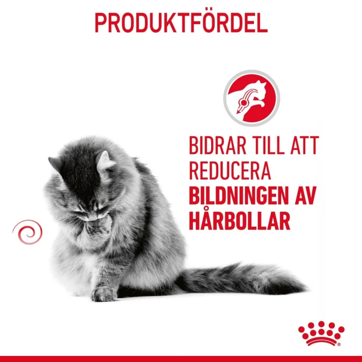 Royal Canin Hairball Care  10 kg Royal Canin