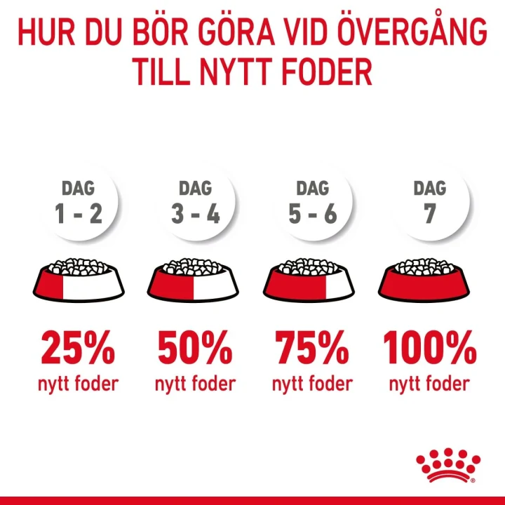 Royal Canin Hairball Care  10 kg Royal Canin