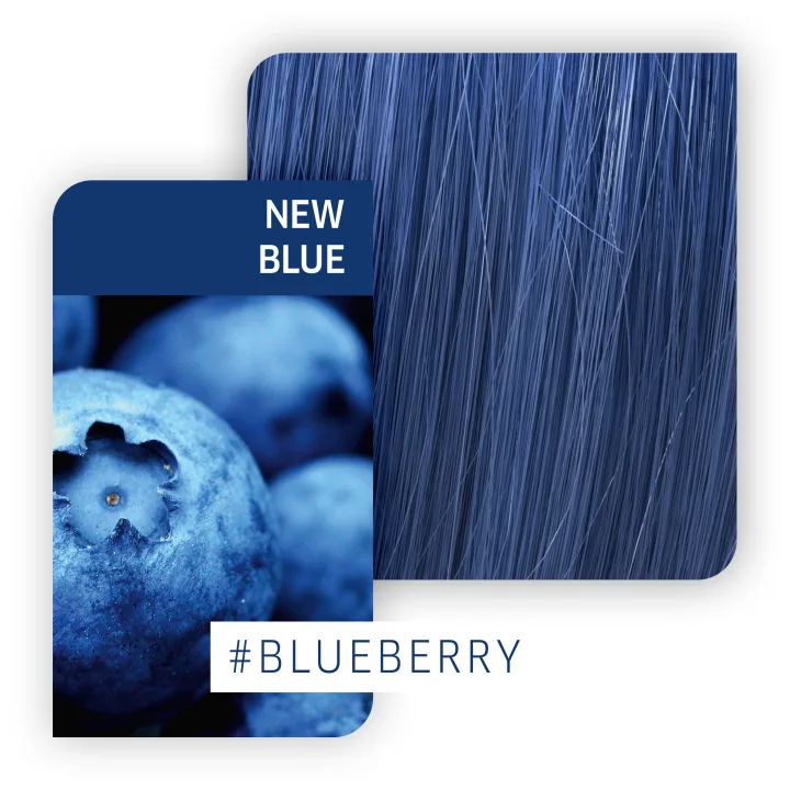Wella Professionals Color Fresh Create 60 ml New Blue Wella