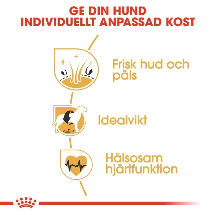Royal Canin Cocker Adult Dog 12 kg Royal Canin