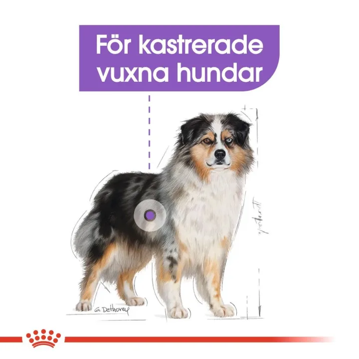 Royal Canin Sterilised Medium Dog 12 kg Royal Canin