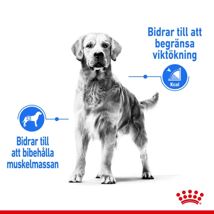 Royal Canin Light Weight Care Maxi Dog 12 kg Royal Canin