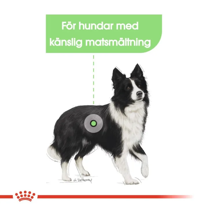 Royal Canin Digestive Care Medium Dog 12 kg Royal Canin