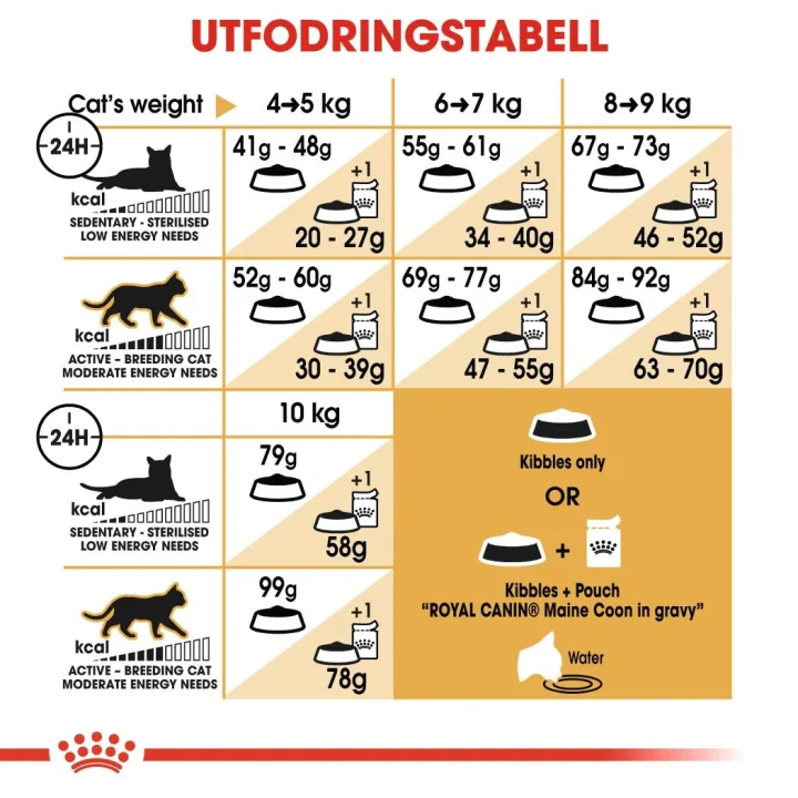 Royal Canin Maine Coon Adult  10 kg Royal Canin