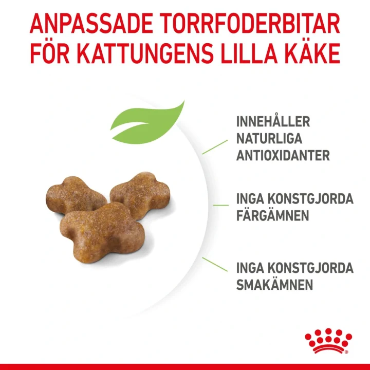 Royal Canin Kitten  10 kg Royal Canin