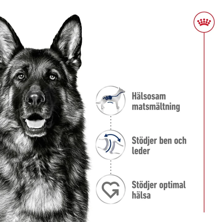 Royal Canin Maxi Adult Dog  15 kg Royal Canin