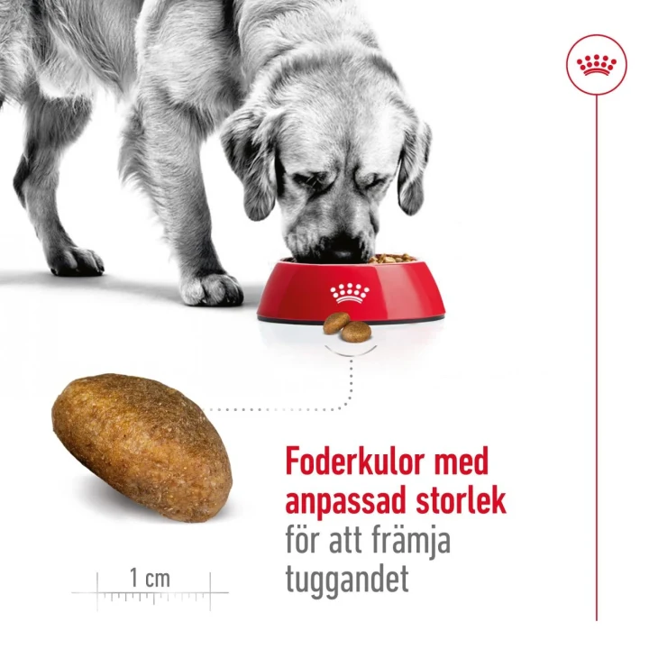 Royal Canin Maxi Adult Dog  15 kg Royal Canin