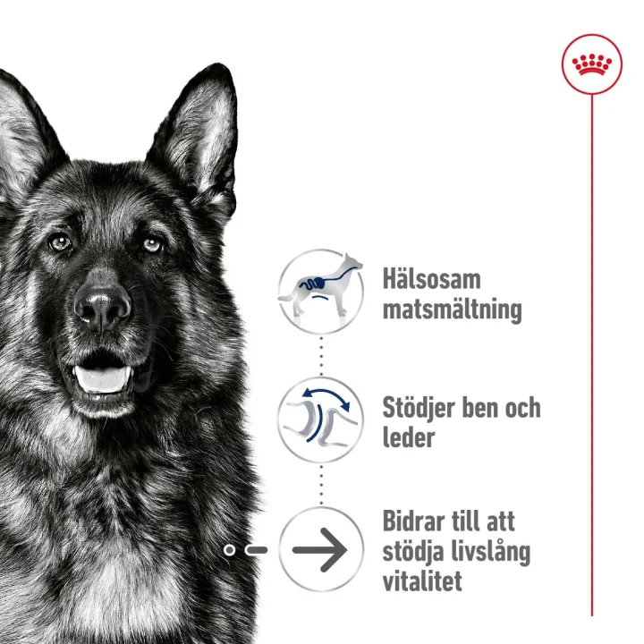 Royal Canin Maxi Ageing 8+ Dog 15 kg Royal Canin