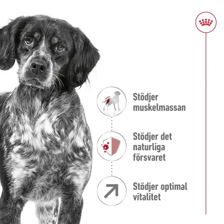 Royal Canin Medium Adult 7+ Dog 15 kg Royal Canin