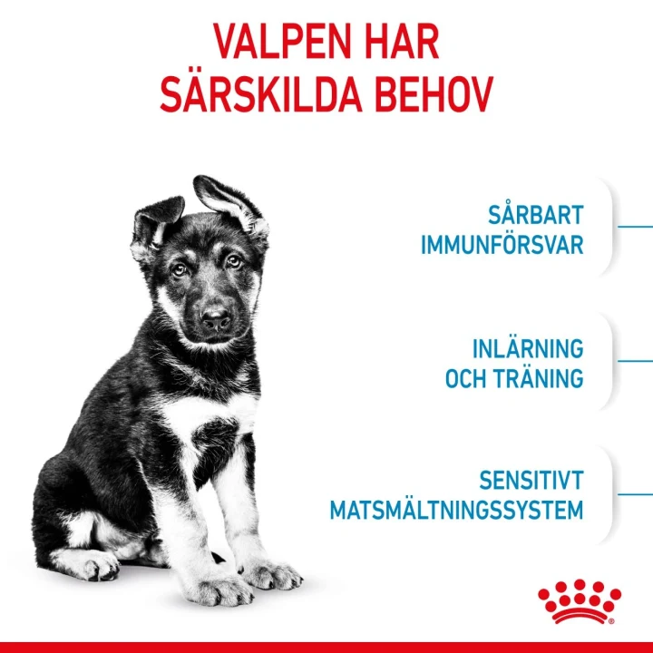 Royal Canin Maxi Puppy  15 kg Royal Canin