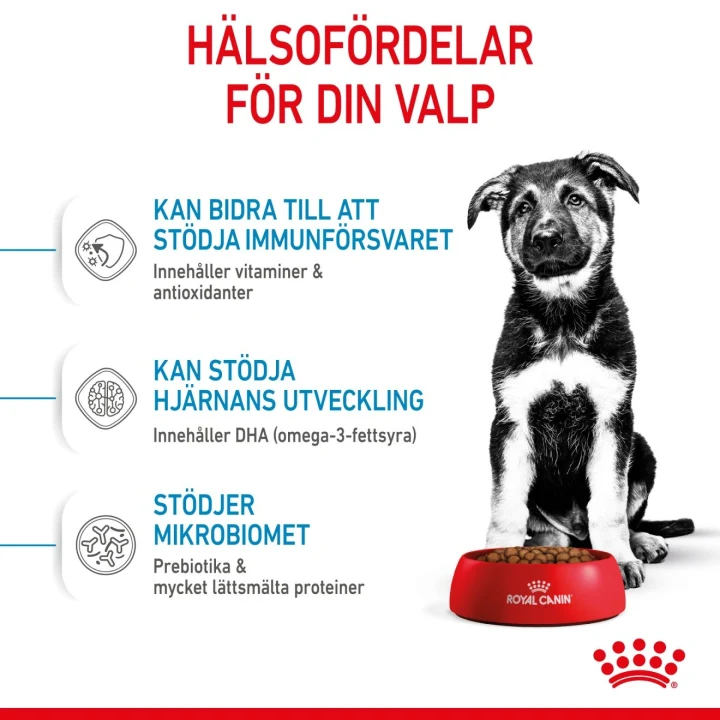 Royal Canin Maxi Puppy  15 kg Royal Canin