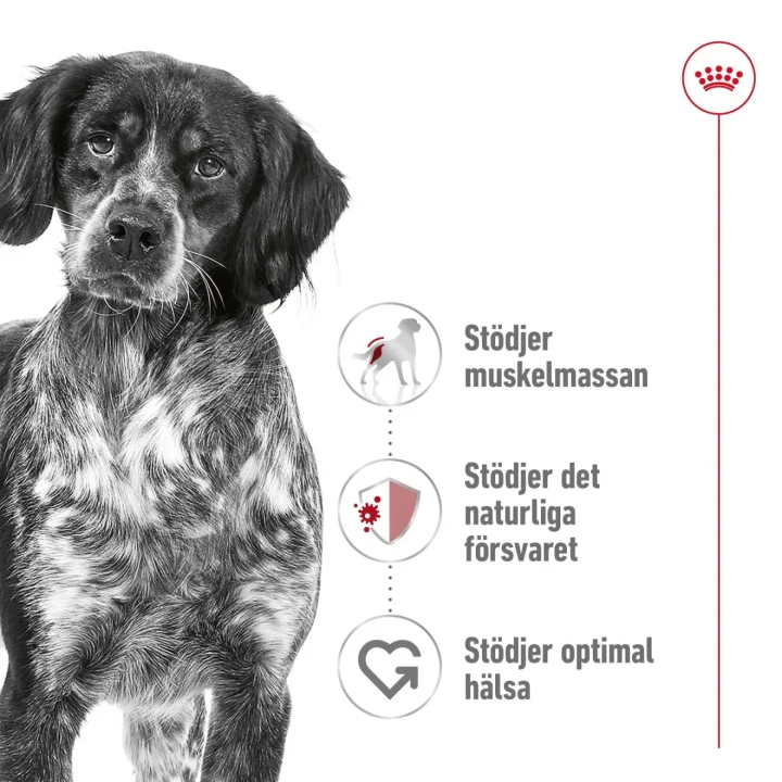 Royal Canin Medium Adult Dog  15 kg Royal Canin
