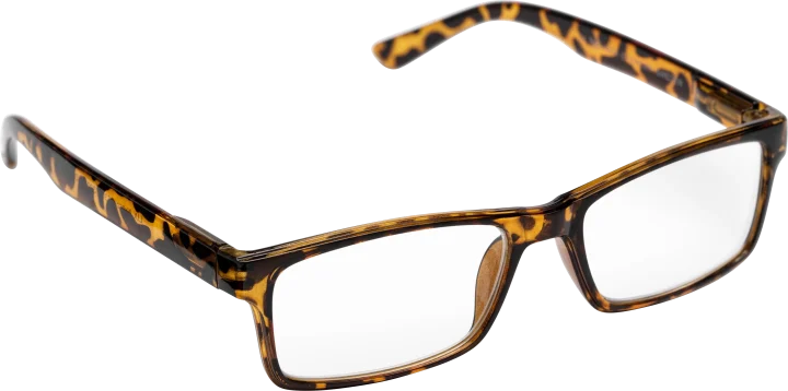 Lix by Haga Nybro Havana +2,5 Haga Optik