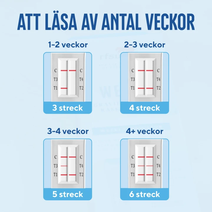 RFSU Weeks Graviditetstest Veckoindikator 1-pack Rfsu