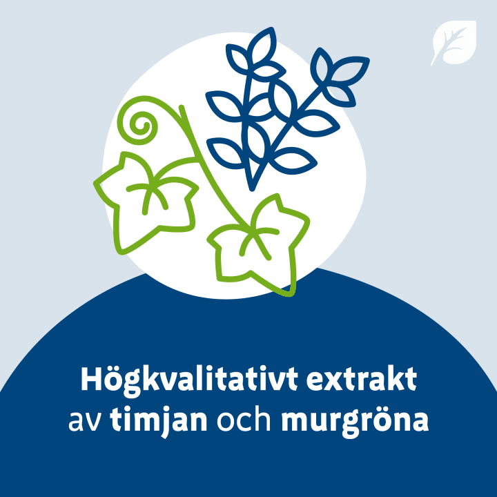 Mucofyl Sirap 100 ml mucofyl, Bionorica