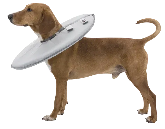 Trixie Mjuk Hundkrage Grå XS Trixie