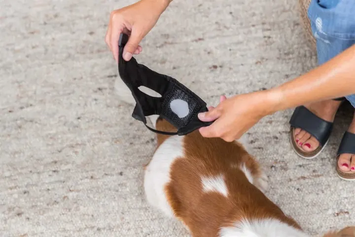 Trixie Tikskydd Svart M Trixie