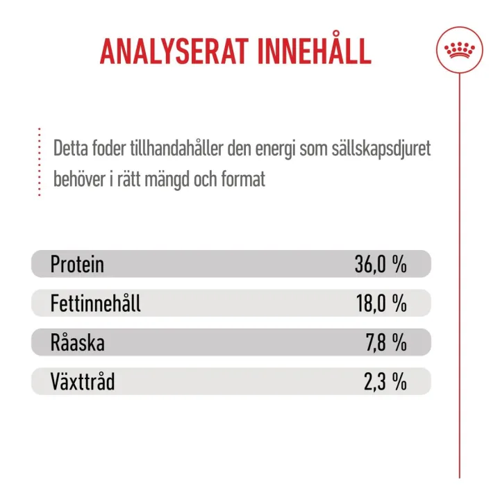 Royal Canin Kitten  4 kg Royal Canin