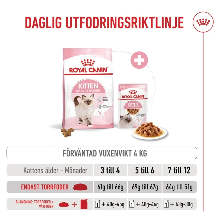Royal Canin Kitten  4 kg Royal Canin