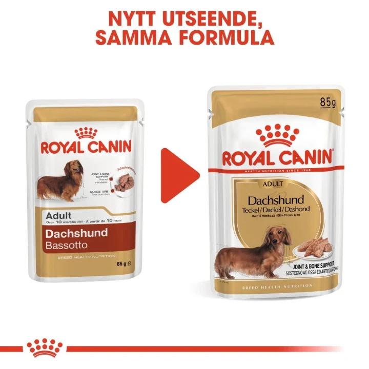 Royal Canin Dachshund Adult Loaf 12x85 g Royal Canin