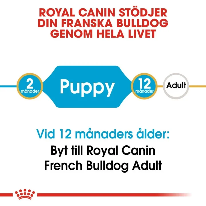 Royal Canin French Bulldog Puppy 10 kg Royal Canin