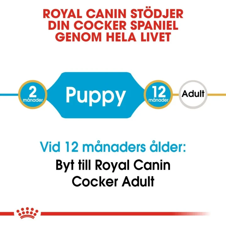 Royal Canin Cocker Puppy 3 kg Royal Canin
