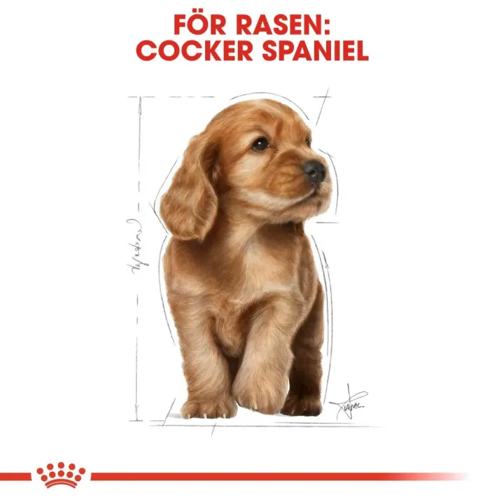 Royal Canin Cocker Puppy 3 kg Royal Canin