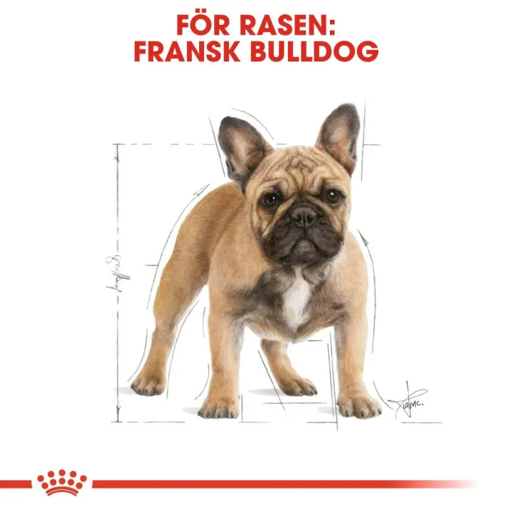 Royal Canin French Bulldog Adult 9 kg Royal Canin