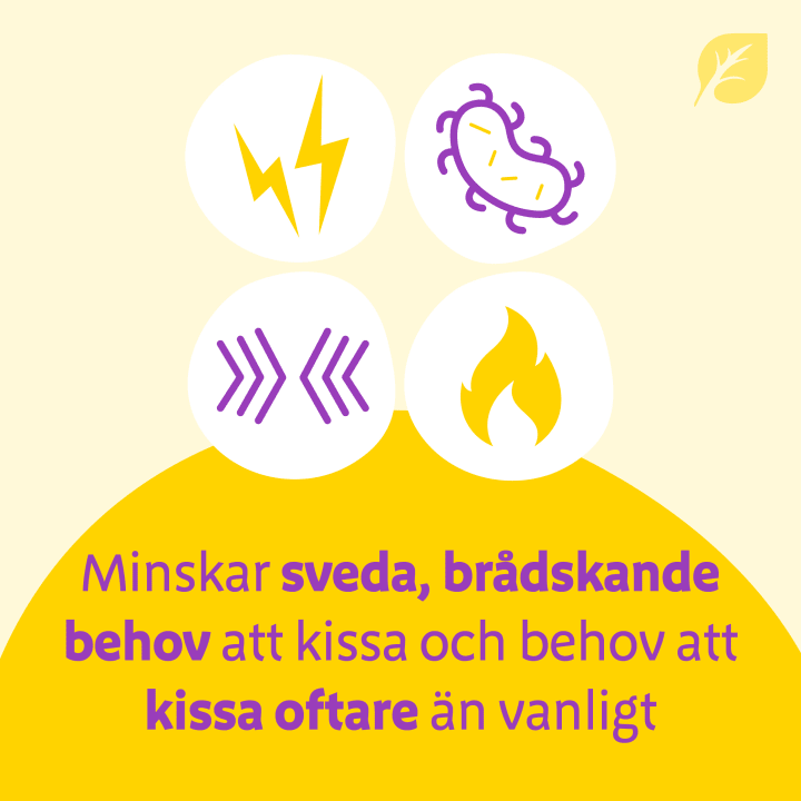 Urodynon Dragerad Tablett 30 st URODYNON, Bionorica