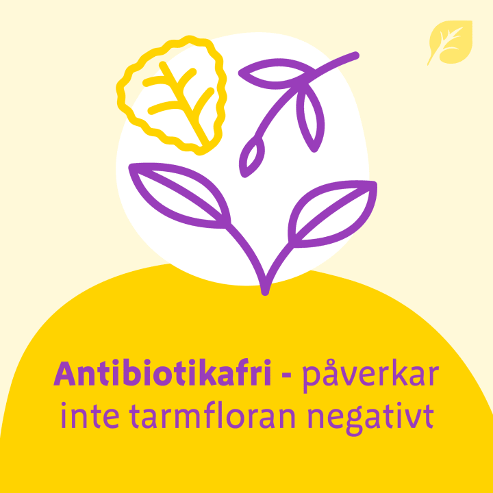 Urodynon Dragerad Tablett 30 st URODYNON, Bionorica