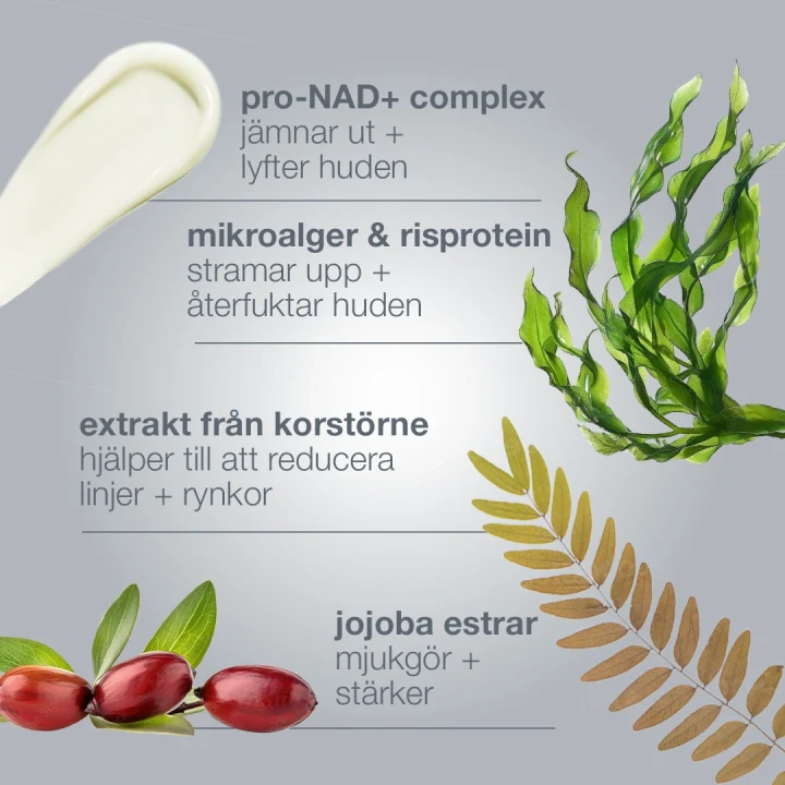 Dermalogica Dynamic Skin Sculptor 150 ml Dermalogica