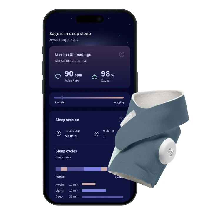 Owlet Dream Sock Bedtime Blue Owlet